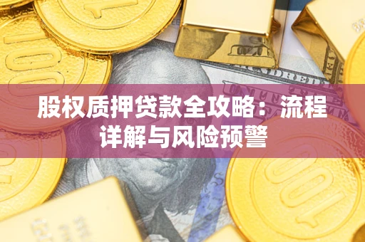 北京股权质押贷款全攻略：流程详解与风险预警