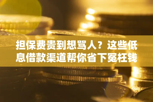北京担保费贵到想骂人？这些低息借款渠道帮你省下冤枉钱