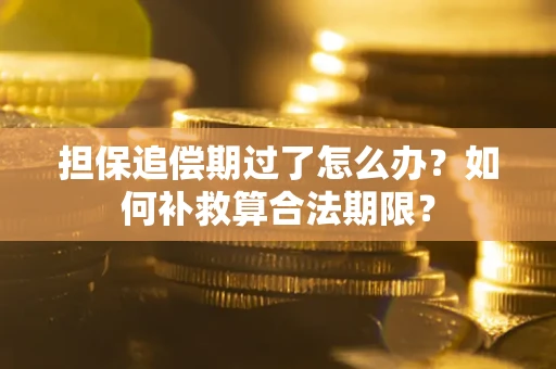 北京担保追偿期过了怎么办？如何补救算合法期限？