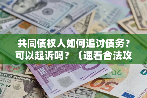 北京共同债权人如何追讨债务？可以起诉吗？（速看合法攻略）